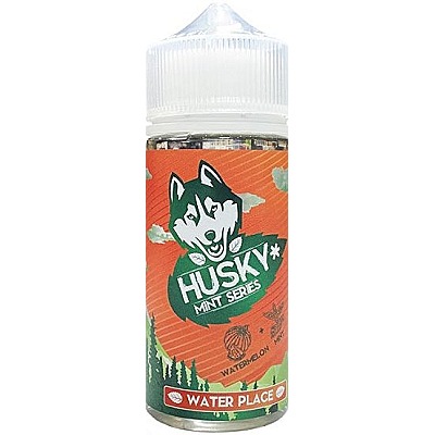 Жидкость Husky Mint Series Water Place 100мл